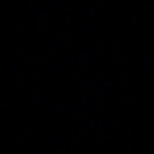 Meet your Posher, Damian